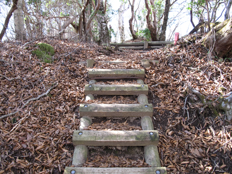 20161206hike (243)